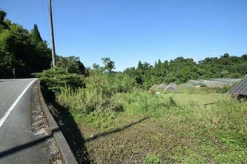 熊本県八代郡氷川町早尾 土地