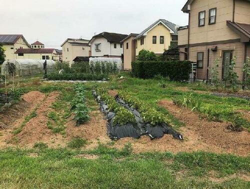 熊本県宇土市立岡町 1465万円