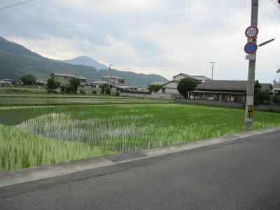 徳島県吉野川市山川町忌部 1593万円