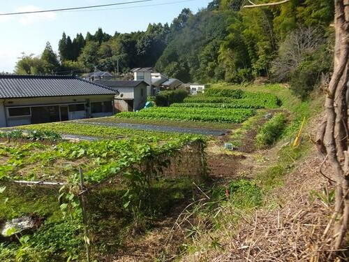 鹿児島県日置市伊集院町麦生田 600万円