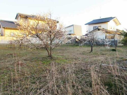 栃木県栃木市大平町富田 990万円