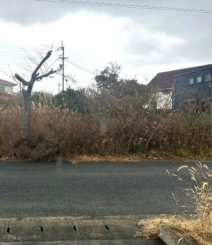 徳島県鳴門市鳴門町高島字山路 160万円