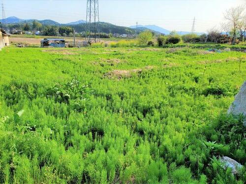 茨城県笠間市石井 675万円