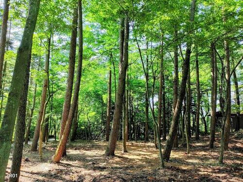 長野県北佐久郡御代田町大字塩野 2900万円