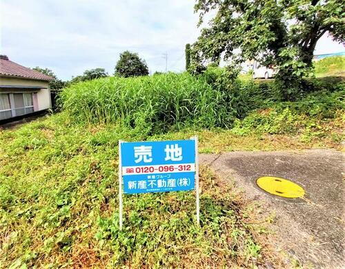 熊本県水俣市月浦 土地