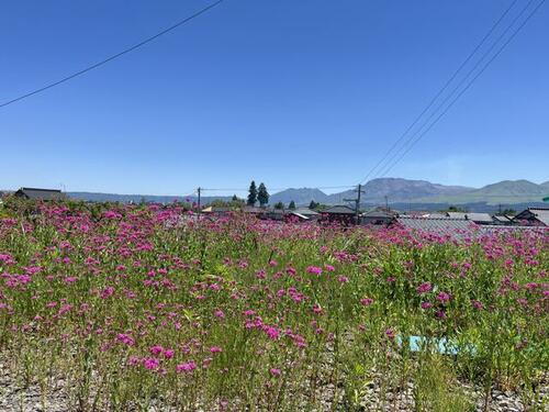 熊本県阿蘇市西小園 土地