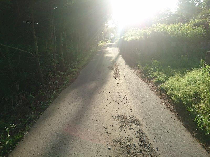 青森県八戸市大字糠塚字土取場 土地 物件詳細