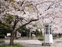 竹之丸（山手駅）　２２００万円 山手公園まで550m 1870年に横浜居留外国人の手によって作られた国内初の洋式公園です。春になると、桜の大木が広がり、花見を楽しむことが出来ます。