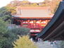 鎌倉の風情を味わえる住環境にも優れた立地です 鶴岡八幡宮まで約２００ｍ