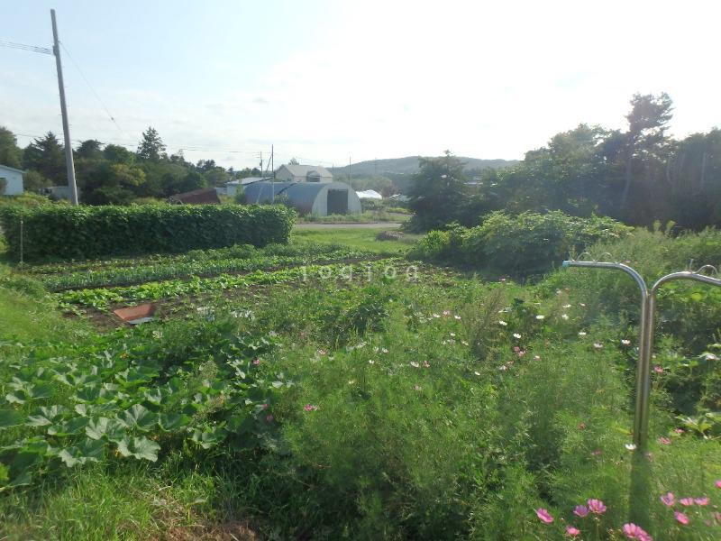 北海道勇払郡安平町安平 120万円