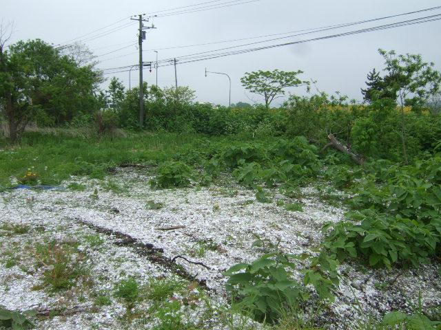 北海道二海郡八雲町野田生 土地