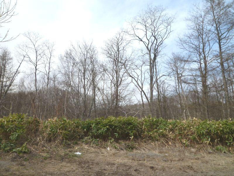 北海道茅部郡森町字赤井川 土地