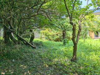 千葉県安房郡鋸南町保田 土地
