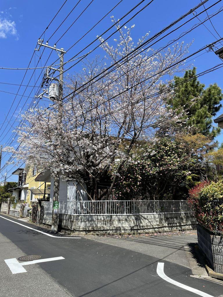東京都世田谷区祖師谷５ 9800万円