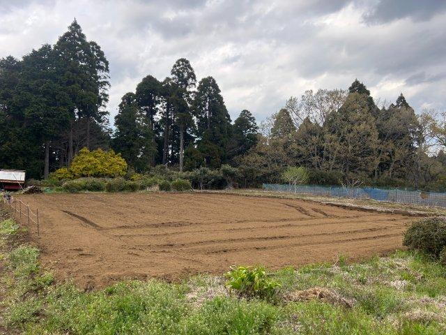 千葉県長生郡長柄町山之郷 250万円