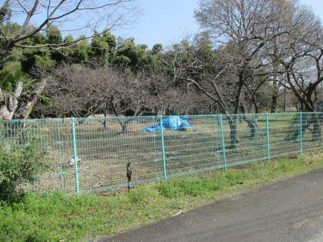 埼玉県熊谷市千代 1789万円