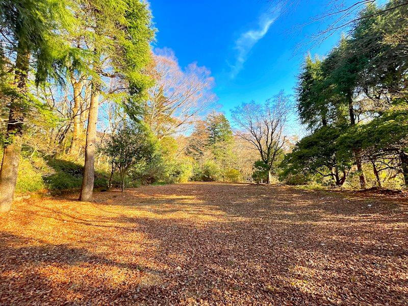 神奈川県足柄下郡箱根町仙石原 3500万円