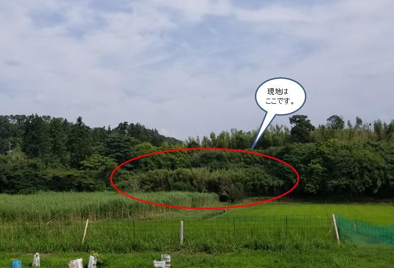 千葉県富津市桜井 土地