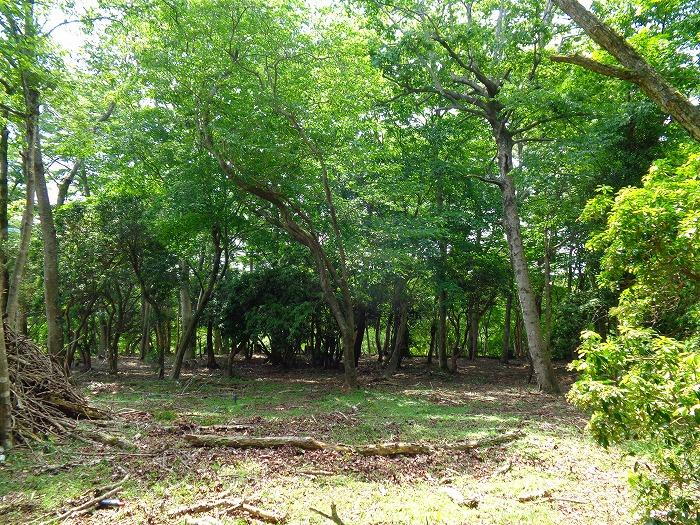 神奈川県足柄下郡箱根町仙石原 8000万円