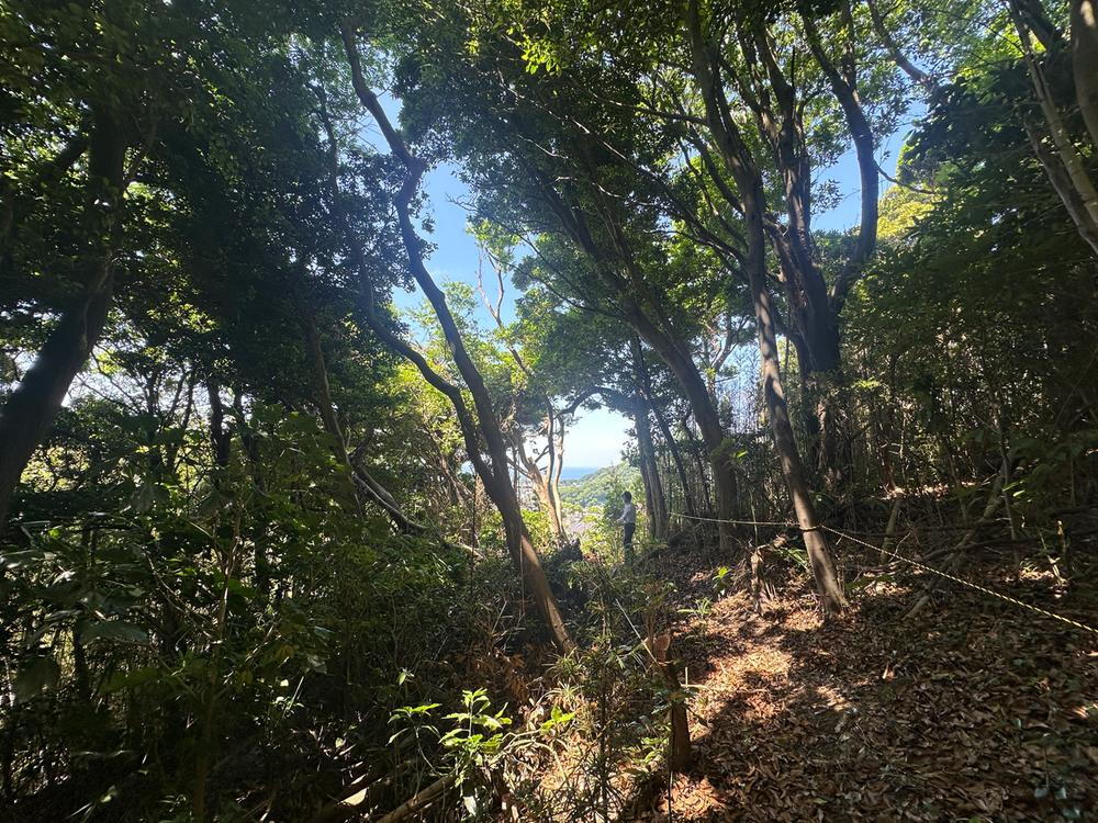 神奈川県三浦郡葉山町一色 16800万円