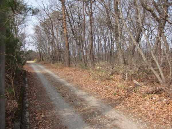 栃木県那須塩原市鳥野目 200万円