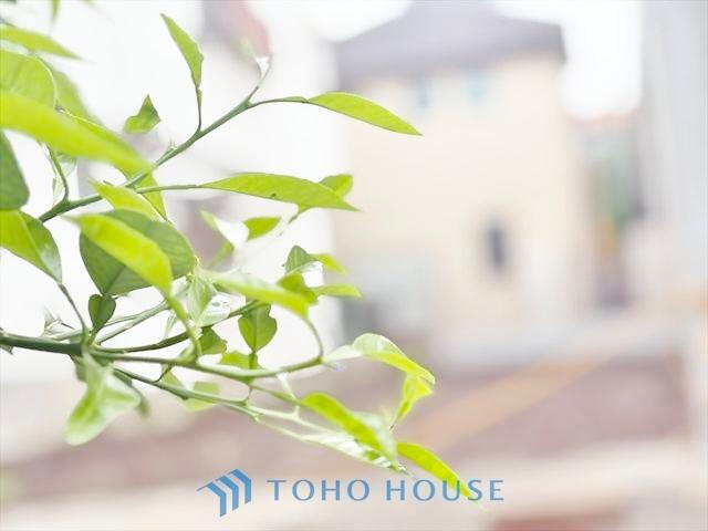 東京都杉並区成田東３ 6360万円
