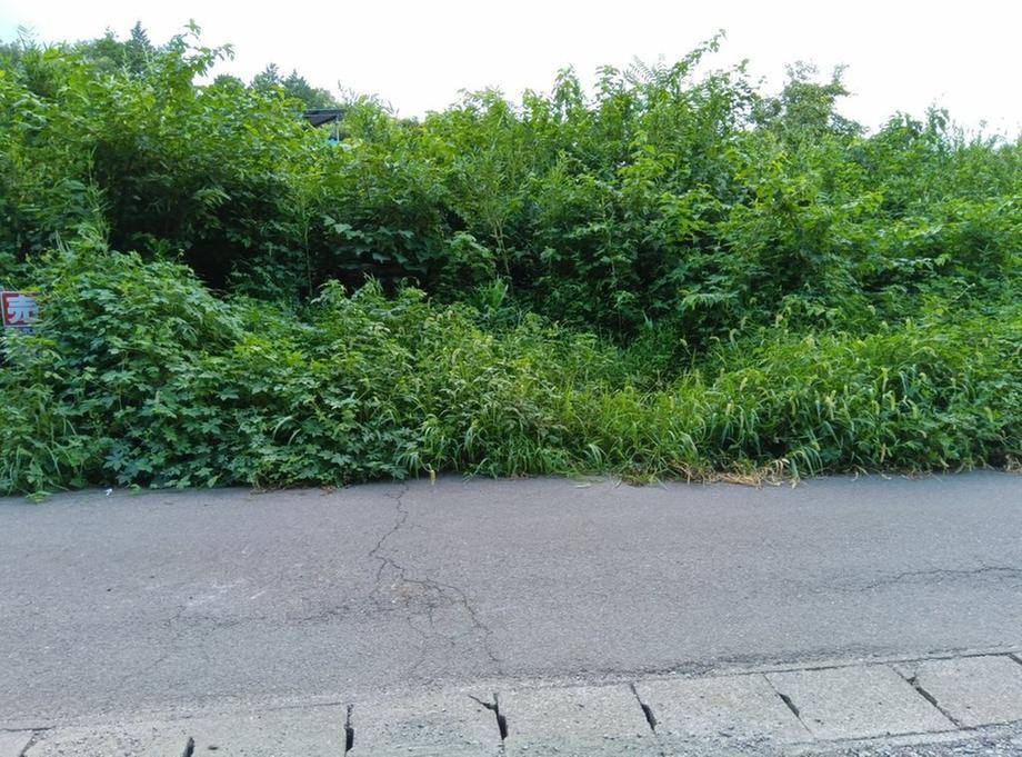 茨城県筑西市野殿 50万円