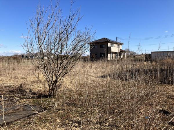 栃木県宇都宮市上籠谷町 土地