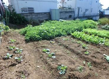 千葉県船橋市芝山６ 土地