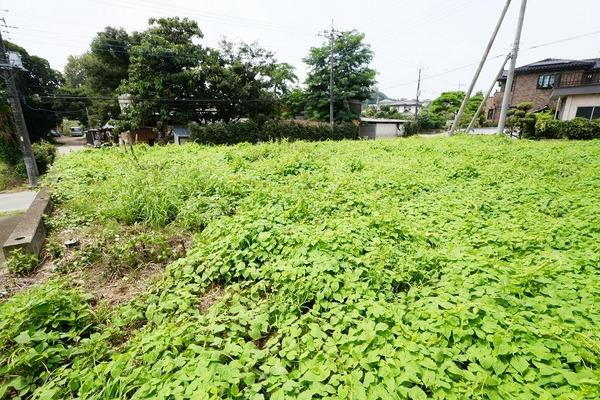 群馬県高崎市本郷町 650万円