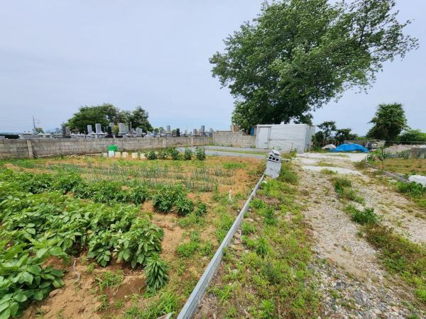 茨城県取手市駒場３ 1620万円