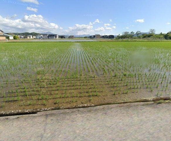 福井県鯖江市糺町 671.6万円