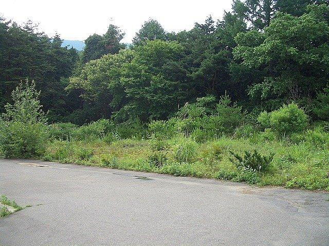 長野県上伊那郡辰野町大字伊那富 土地