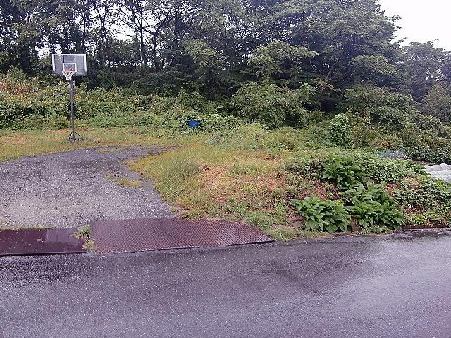 長野県岡谷市川岸上４ 土地