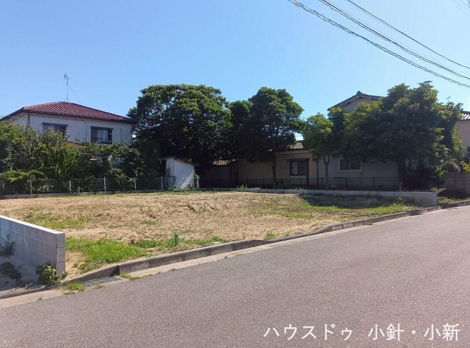 新潟県新潟市西区坂井東６ 1050万円