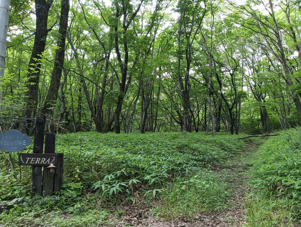 山梨県北杜市大泉町西井出 1535万円