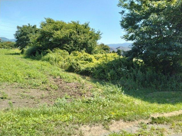 長野県上伊那郡辰野町大字伊那富 土地