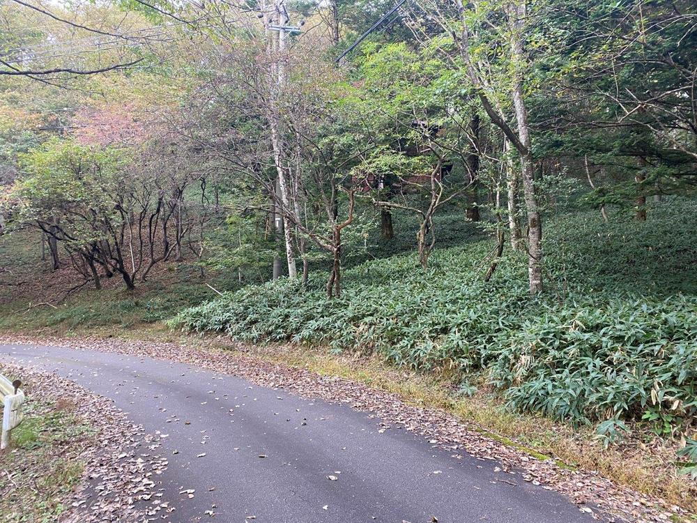 長野県佐久市内山 土地