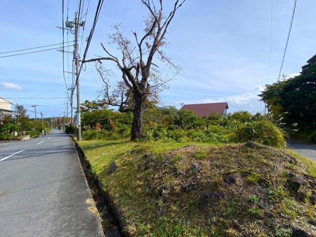 静岡県伊東市富戸 431万円