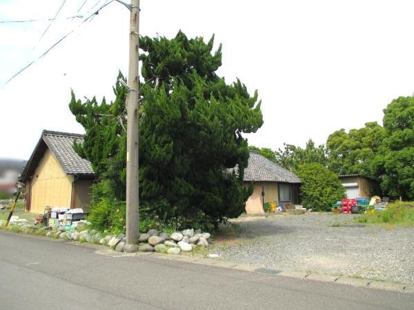愛知県弥富市三稲４ 3600万円