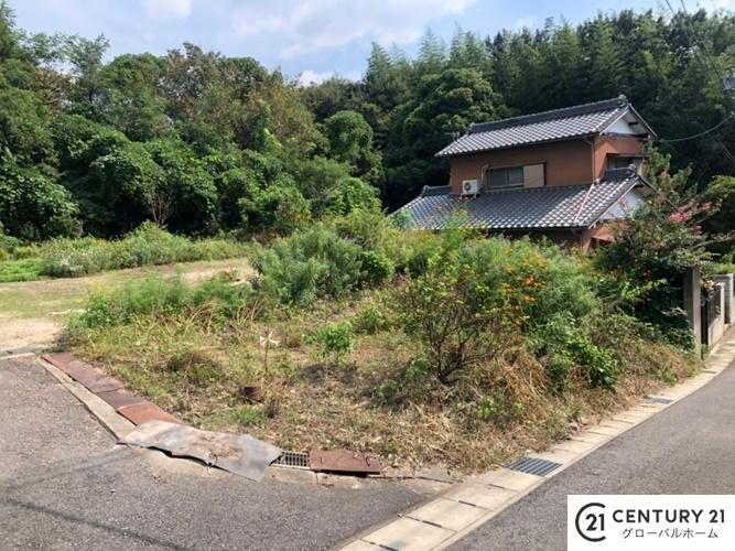 愛知県大府市横根町名高山 300万円