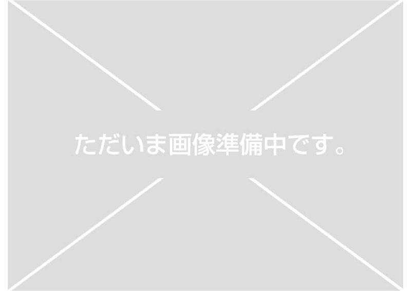 愛知県海部郡蟹江町大字新千秋字後西 4900万円