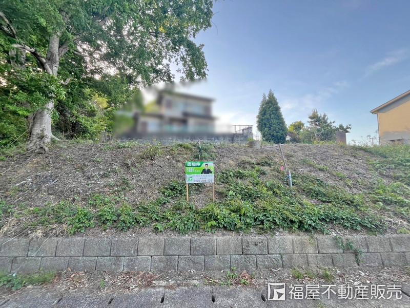 滋賀県蒲生郡日野町大字別所 80万円