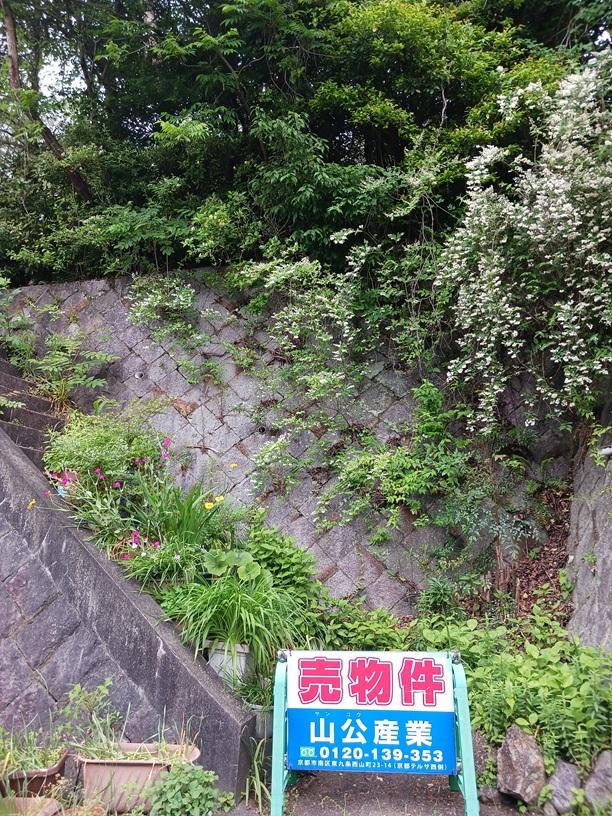 京都府京都市左京区岩倉村松町 150万円