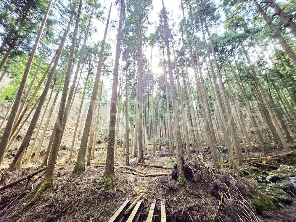 京都府南丹市美山町福居西脇谷 177万円