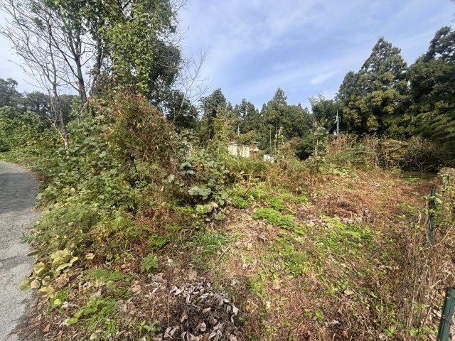 滋賀県高島市今津町桂 土地