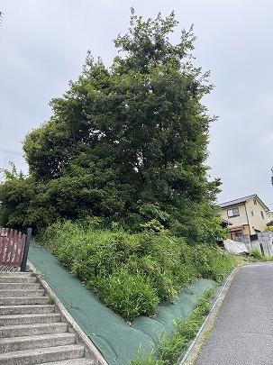 広島県広島市安佐南区長楽寺１ 330万円