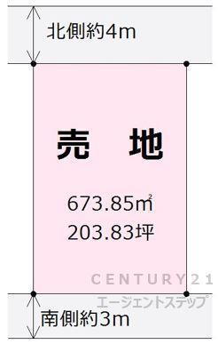 宮崎県東諸県郡国富町大字本庄 800万円