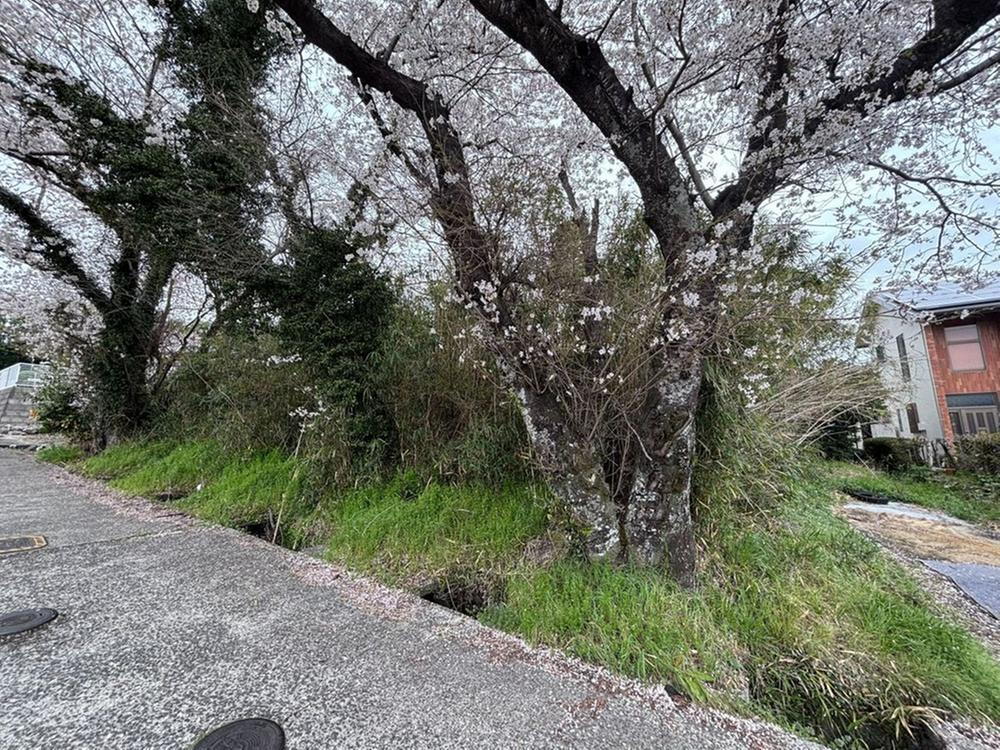 長崎県南島原市深江町戊 540万円