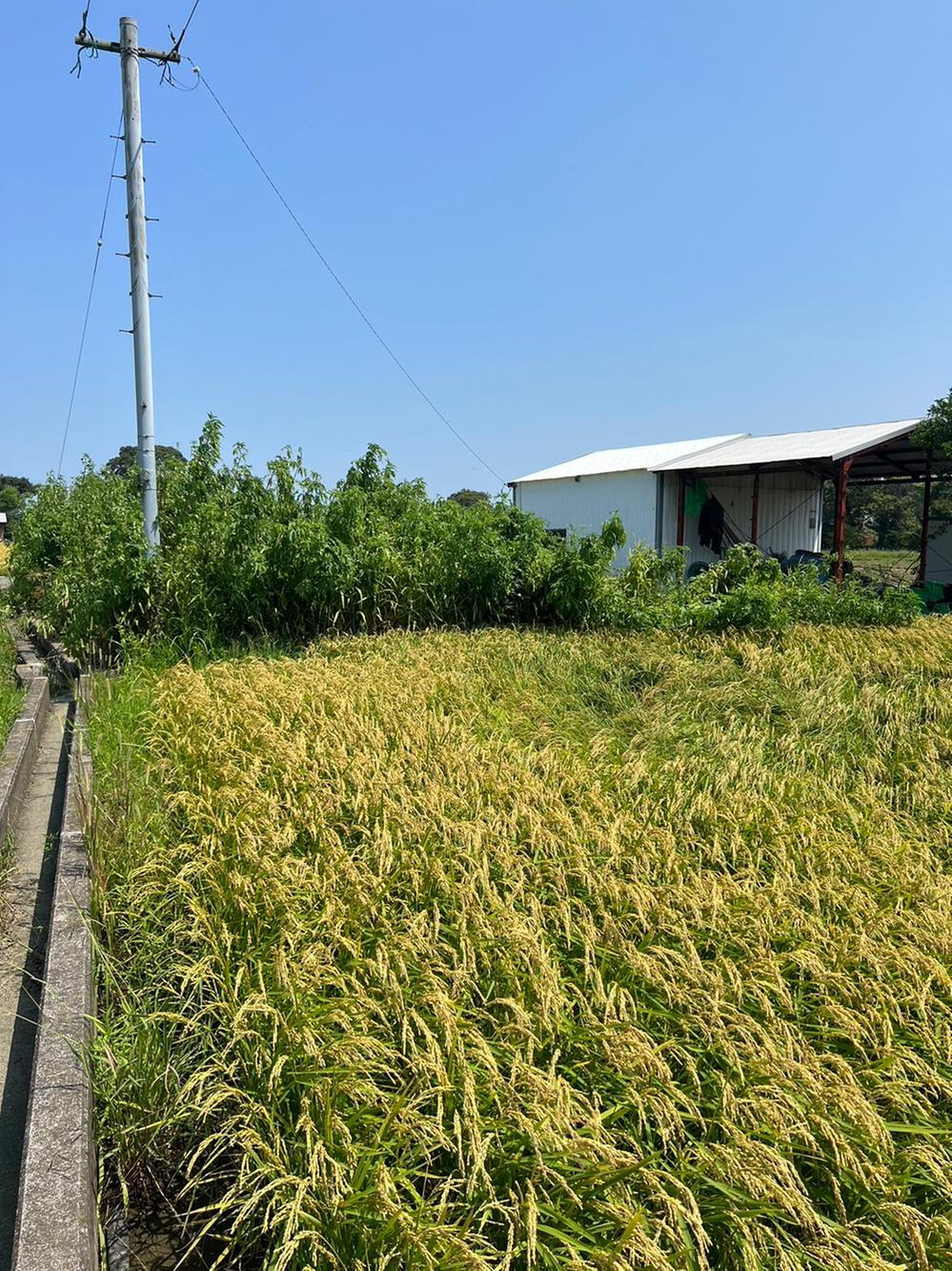 福岡県築上郡吉富町大字小祝 350万円